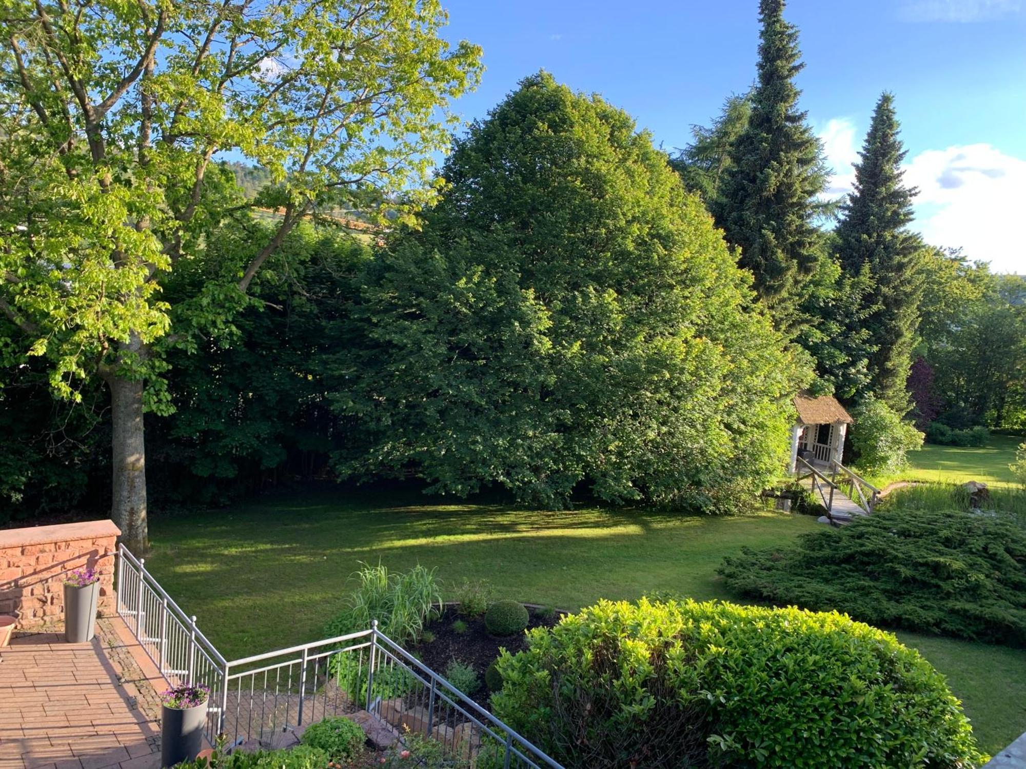 Landhaus Wiesemann Parkappartements & Dependance - Naehe Ettelsberg-Talstation Willingen  Zewnętrze zdjęcie