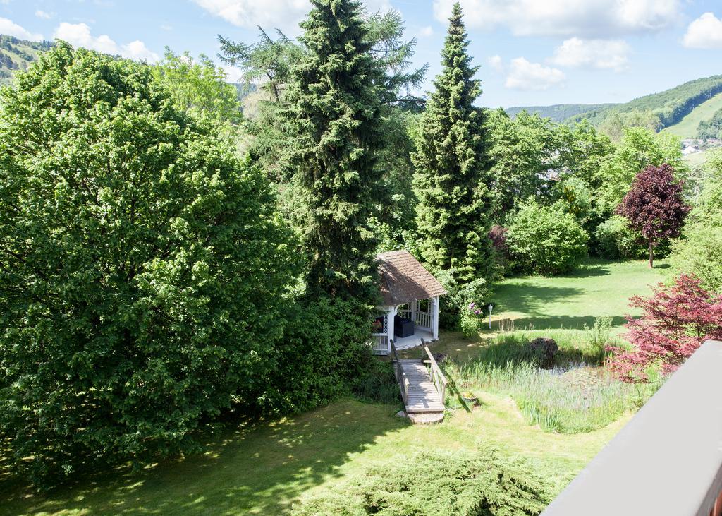 Landhaus Wiesemann Parkappartements & Dependance - Naehe Ettelsberg-Talstation Willingen  Zewnętrze zdjęcie